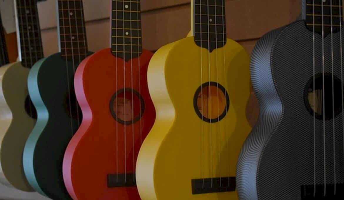 Ukulele Kursu